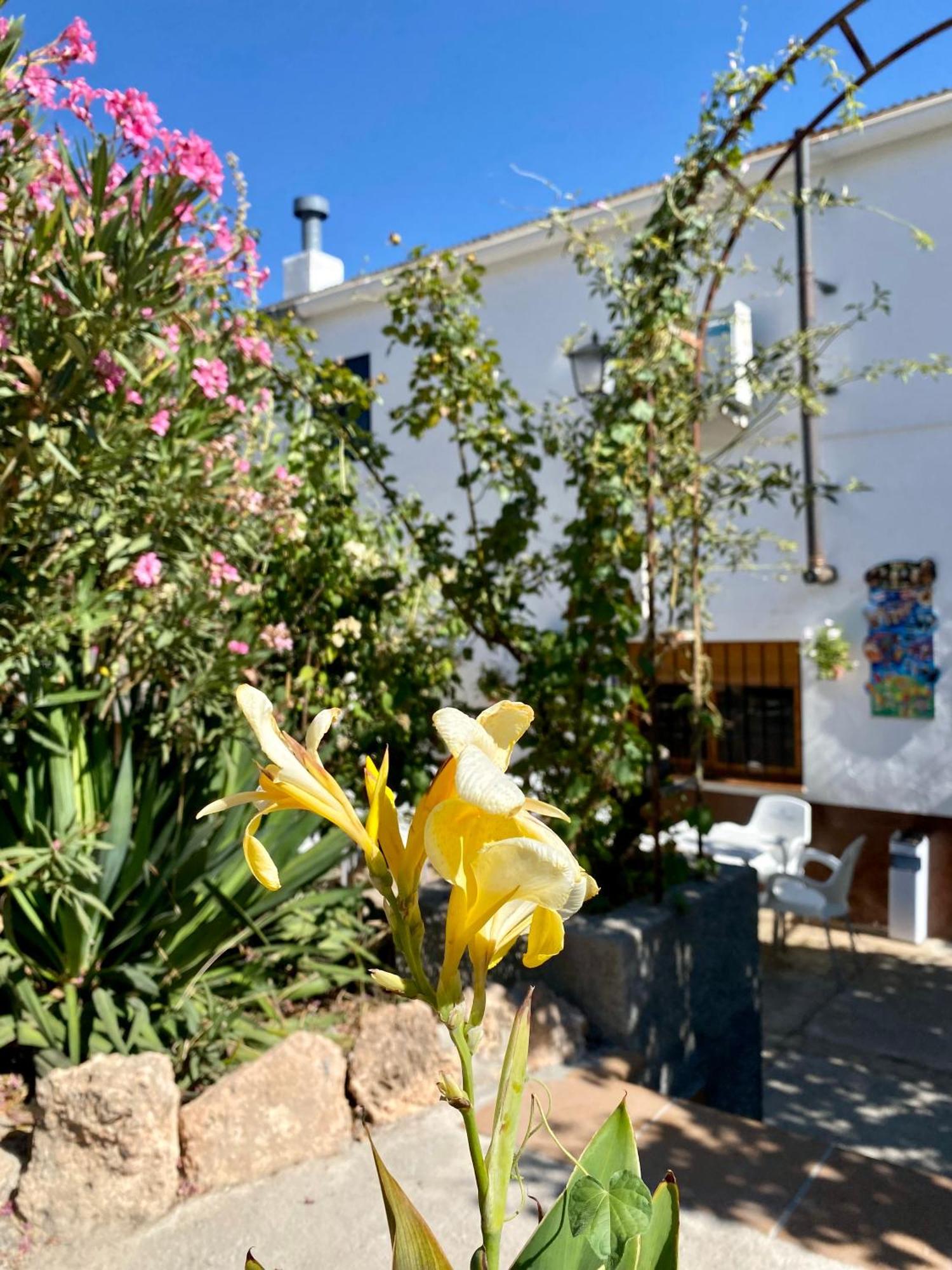 Alojamiento Rural Mar De Olivos Castril Esterno foto